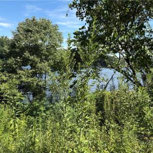 Photo #2 of 143 Reserve, Mocksville, NC 0.1 acres