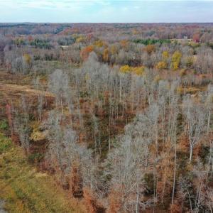 Photo #9 of 1 Towhee, Lexington, NC 36.6 acres