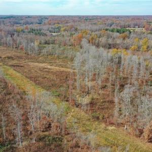 Photo #13 of 1 Towhee, Lexington, NC 36.6 acres
