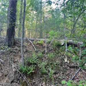 Photo #27 of vista lindo, Winston-Salem, NC 0.5 acres