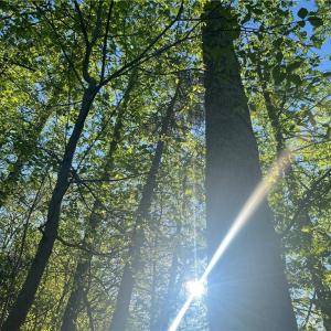 Photo #2 of vista lindo, Winston-Salem, NC 0.5 acres