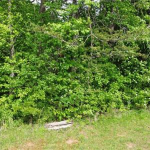 Photo #13 of vista lindo, Winston-Salem, NC 0.5 acres