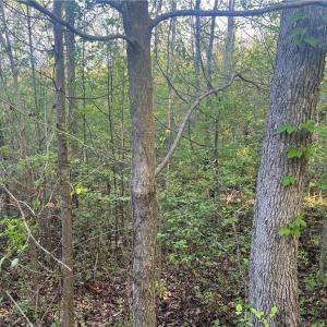 Photo #17 of vista lindo, Winston-Salem, NC 0.5 acres