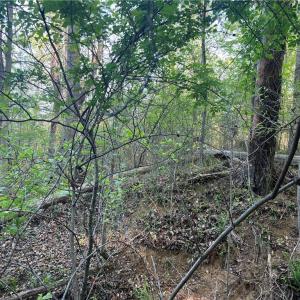Photo #26 of vista lindo, Winston-Salem, NC 0.5 acres