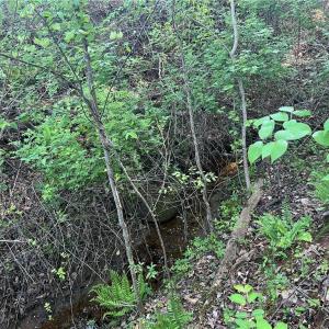 Photo #22 of vista lindo, Winston-Salem, NC 0.5 acres