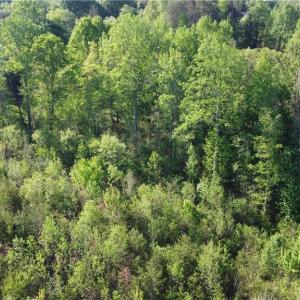 Photo #7 of vista lindo, Winston-Salem, NC 0.5 acres