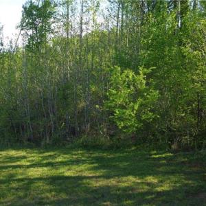 Photo #3 of vista lindo, Winston-Salem, NC 0.5 acres