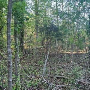Photo #28 of vista lindo, Winston-Salem, NC 0.5 acres