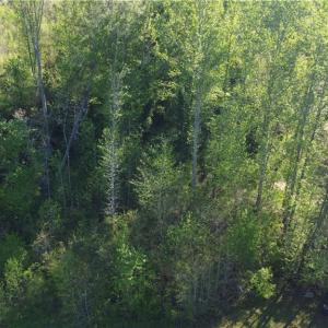 Photo #5 of vista lindo, Winston-Salem, NC 0.5 acres