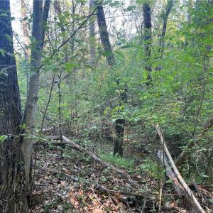 Photo #20 of vista lindo, Winston-Salem, NC 0.5 acres