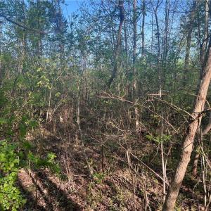 Photo #15 of vista lindo, Winston-Salem, NC 0.5 acres