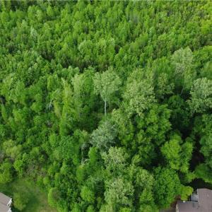 Photo #11 of vista lindo, Winston-Salem, NC 0.5 acres