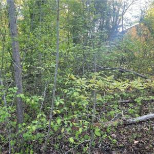 Photo #19 of vista lindo, Winston-Salem, NC 0.5 acres