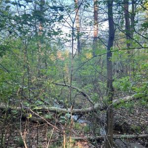 Photo #25 of vista lindo, Winston-Salem, NC 0.5 acres