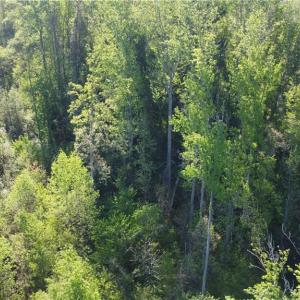 Photo #6 of vista lindo, Winston-Salem, NC 0.5 acres