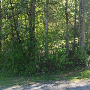 Photo #1 of vista lindo, Winston-Salem, NC 0.5 acres