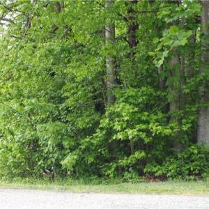 Photo #14 of vista lindo, Winston-Salem, NC 0.5 acres