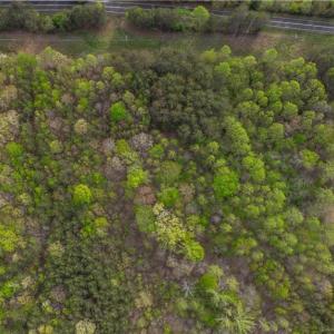 Photo #11 of Smith, Stoneville, NC 44.7 acres