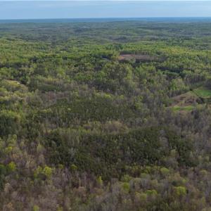 Photo #8 of Smith, Stoneville, NC 44.7 acres