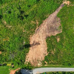 Photo #13 of Roberson, Reidsville, NC 6.0 acres