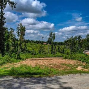 Photo #9 of Roberson, Reidsville, NC 6.0 acres