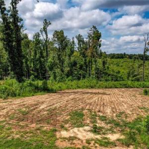 Photo #10 of Roberson, Reidsville, NC 6.0 acres
