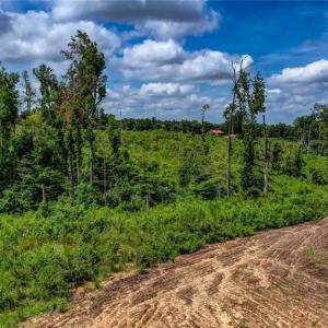 Photo #11 of Roberson, Reidsville, NC 6.0 acres
