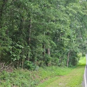 Photo #12 of 844 Chrisco, Seagrove, NC 22.7 acres