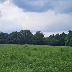Photo #5 of 844 Chrisco, Seagrove, NC 22.7 acres