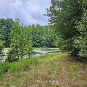 Photo #10 of 844 Chrisco, Seagrove, NC 22.7 acres