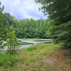 Photo #11 of 844 Chrisco, Seagrove, NC 22.7 acres