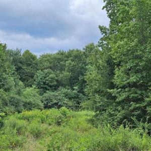 Photo #8 of 844 Chrisco, Seagrove, NC 22.7 acres