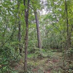 Photo #1 of 801 Chrisco, Seagrove, NC 16.7 acres