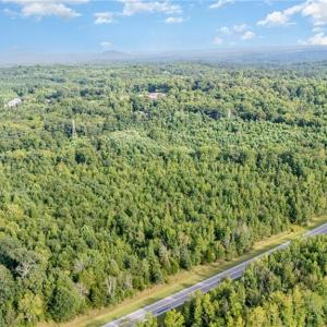 Photo #7 of 2619 NC Highway 109, Thomasville, NC 46.8 acres