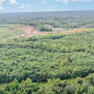 Photo #10 of 2619 NC Highway 109, Thomasville, NC 46.8 acres