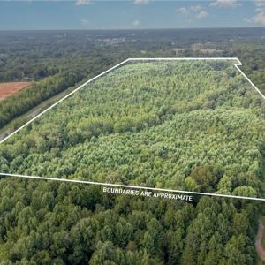 Photo #2 of 2619 NC Highway 109, Thomasville, NC 46.8 acres