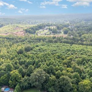 Photo #12 of 2619 NC Highway 109, Thomasville, NC 46.8 acres