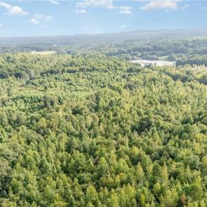 Photo #3 of 2619 NC Highway 109, Thomasville, NC 46.8 acres