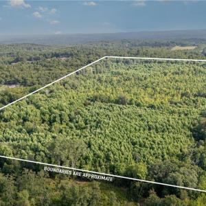 Photo #1 of 2619 NC Highway 109, Thomasville, NC 46.8 acres