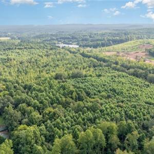 Photo #11 of 2619 NC Highway 109, Thomasville, NC 46.8 acres