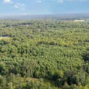 Photo #4 of 2619 NC Highway 109, Thomasville, NC 46.8 acres