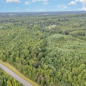 Photo #8 of 2619 NC Highway 109, Thomasville, NC 46.8 acres