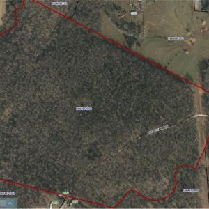 Photo #42 of Boone Farm, Asheboro, NC 80.9 acres