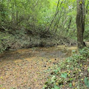 Photo #17 of Boone Farm, Asheboro, NC 80.9 acres