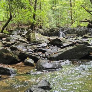 Photo #3 of Boone Farm, Asheboro, NC 80.9 acres