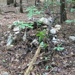 Photo #36 of Boone Farm, Asheboro, NC 80.9 acres