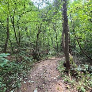 Photo #23 of Boone Farm, Asheboro, NC 80.9 acres