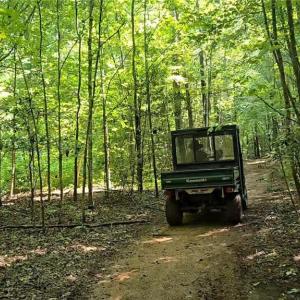 Photo #6 of Boone Farm, Asheboro, NC 80.9 acres