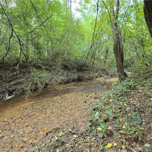 Photo #16 of Boone Farm, Asheboro, NC 80.9 acres