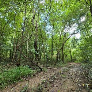 Photo #12 of Boone Farm, Asheboro, NC 80.9 acres